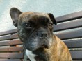 /album/maja-a-spol/fotecky-104-jpg/